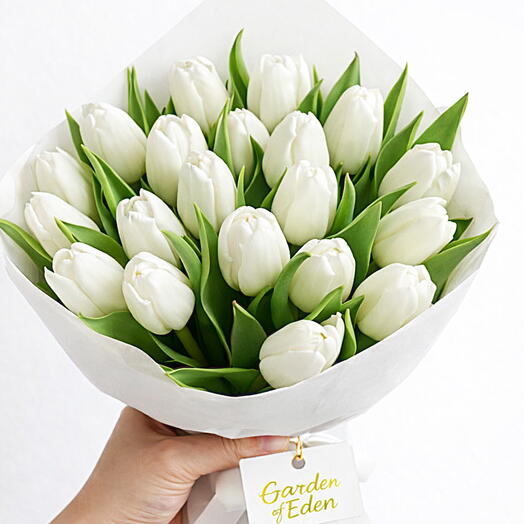 Букет чисто белых тюльпанов – 15 стеблей, роскошный подарок