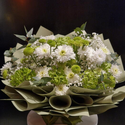 زهرة الكوبية الخضراء الفستقية