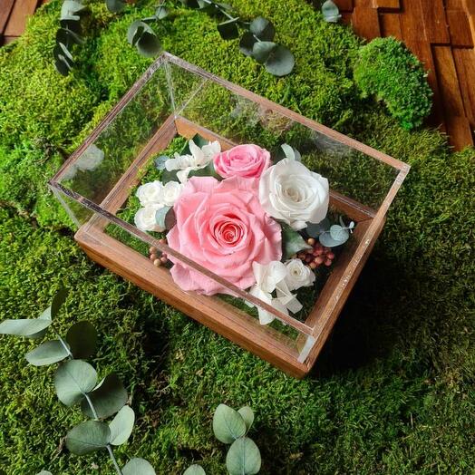 Infinity Garden Rose