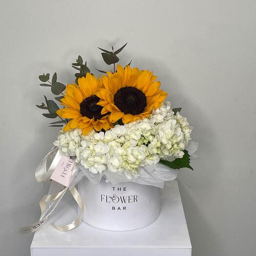 Hydrangea And Sunflower
