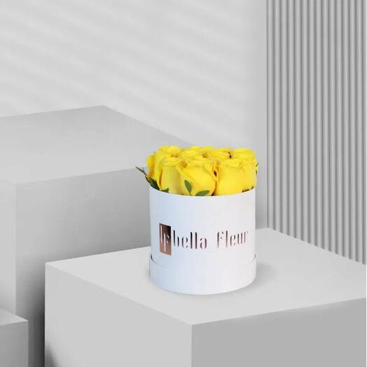 Sandaya Bella Box - Petit