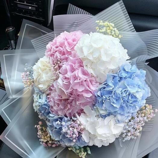 Bouquet of a mix of hydrangeas and gypsophila