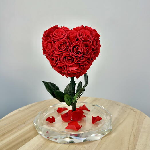 Heart-Shaped Preserved Roses in Glass Dome – Eternal Rose Gift for Love, Anniversaries   Birthdays