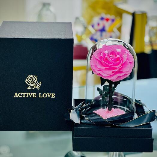 Single Pink Forever Rose