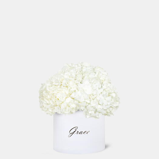 White Hydrangea in Medium Box