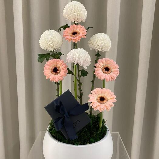 Gift pot flower arrangement