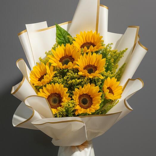 همسات الشمس