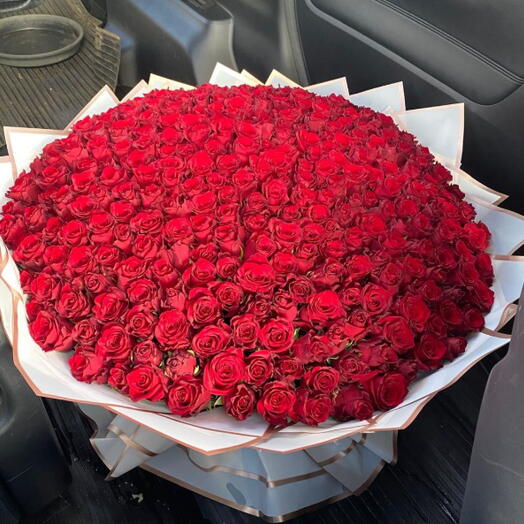 Ramo premium de 200 rosas rojas tamaño XXL