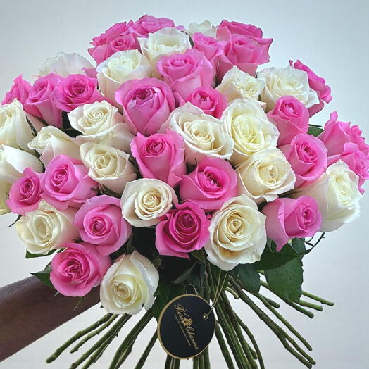 Grace in Bloom – 101 rosas rosadas y blancas de pura elegancia