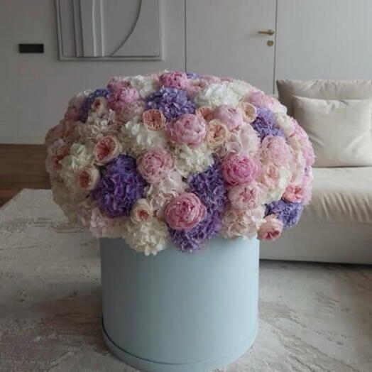 Gran Caja Sueño Azul