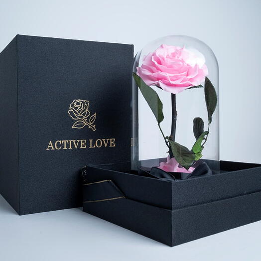 Pink Infinity Rose-1430