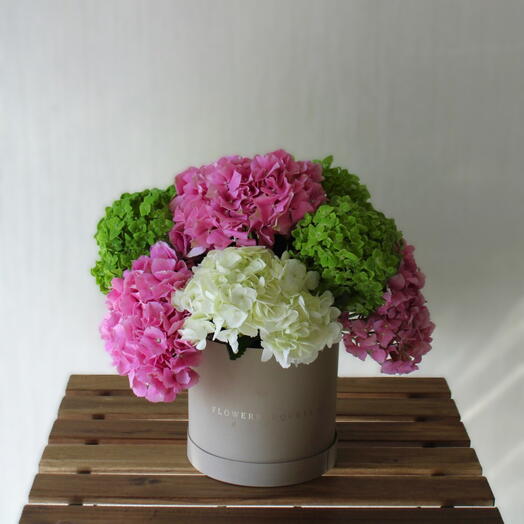 Mixed Hydrangea Box 1170