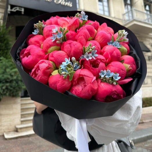 فاونيا تتغير ألوانها