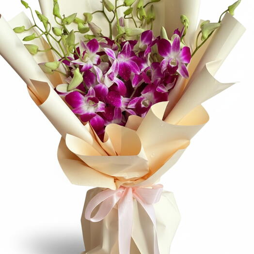 Purple Orchid Grace – 11 Stems