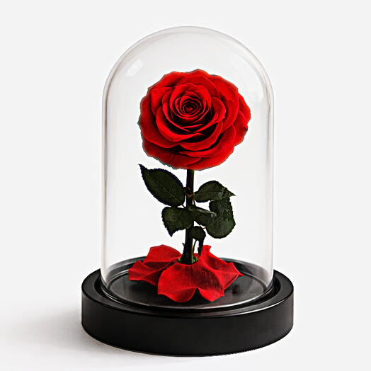 Rosa Roja Eterna – Pequeña Flor Preservada