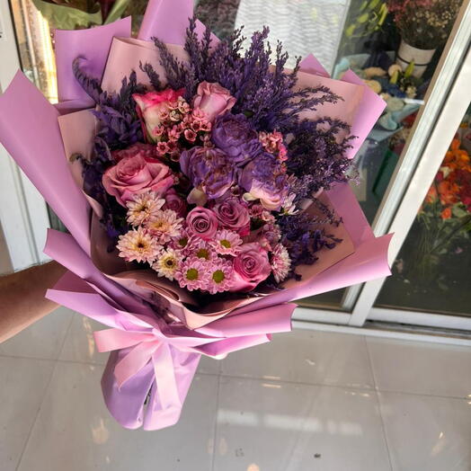 Solidaster purple mix