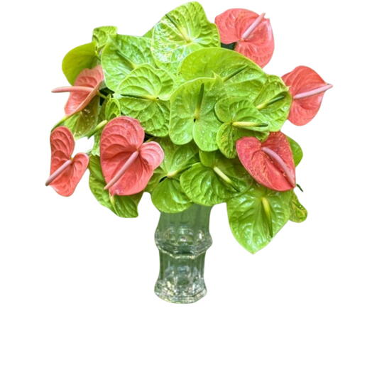 31 Anthurium Glass Vase Arrangement
