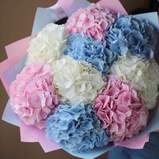 9 Mixed Color Hydrangeas -1260
