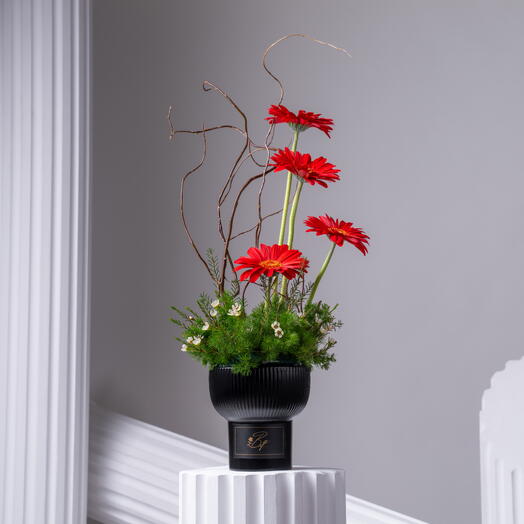 Огненные цветы