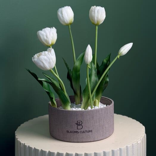 Искусственная грация цвета айвори