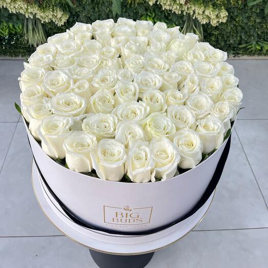 White Roses Big Box