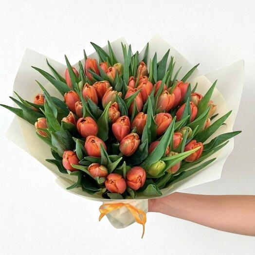 40 оранжевых тюльпанов