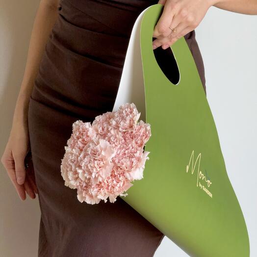 Pink carnation (10 pcs)