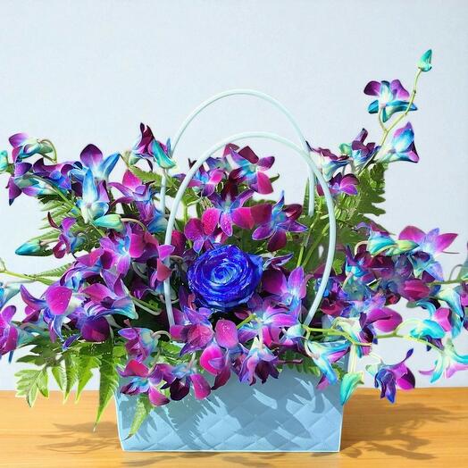 Orchids in a Bag; 20 Stems of blue orchids and 1 blue spray rose