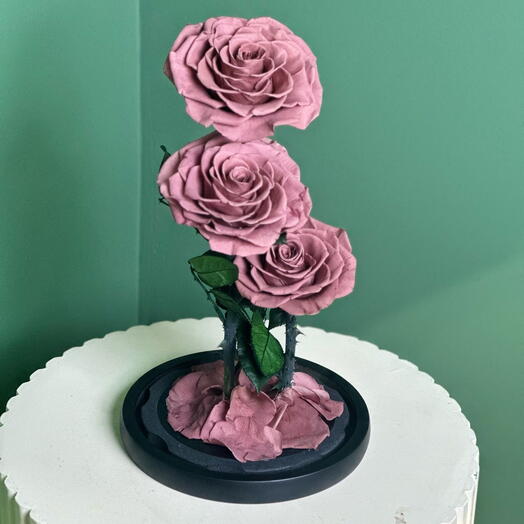 Трио стабилизированных роз