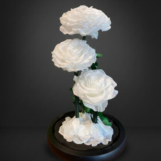 3 шт. стабилизированных роз