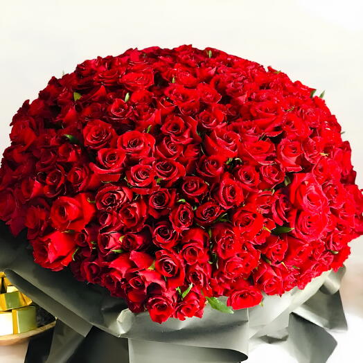 Красный навсегда