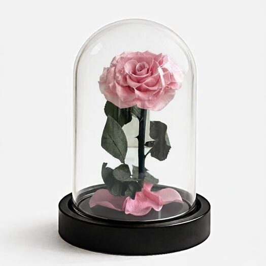 Forever Pink Rose | Preserved Eternal Rose in Elegant Box | Same-Day Dubai Delivery