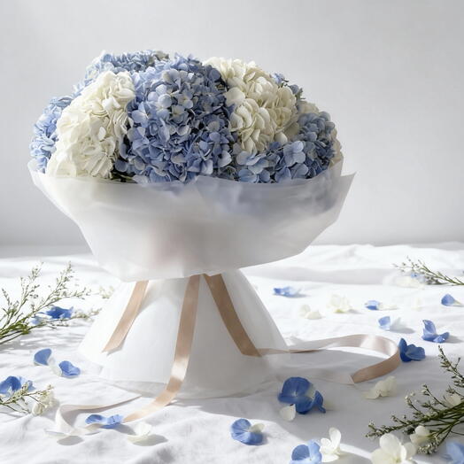 Лазурная Гармония