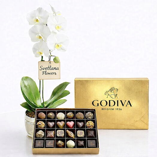 Luxury in Bloom - White Orchid with Godiva Chocolates