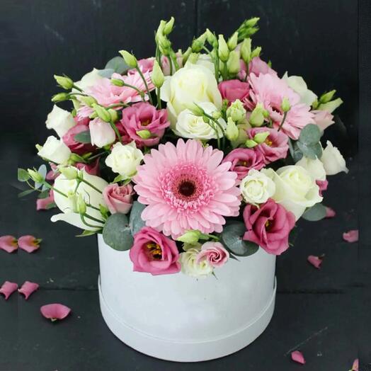 Смешанный бокс