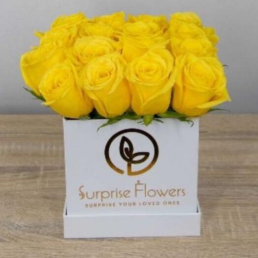 Father s Day Deal 3 in 1 offer