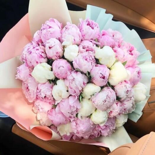 Bouquet of pink and white peonies 51 premium