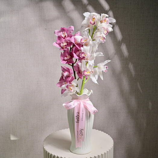 2 Cymbidium Orchid Pink and White in a Ceramic Vase  6619