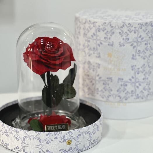 Ever Amour красная вечная роза