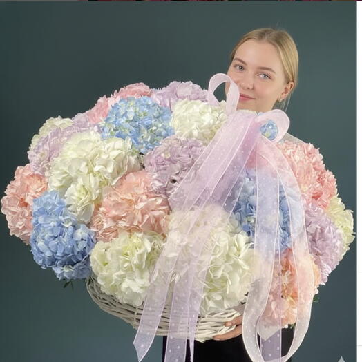 41 Mix Premium HydrangeaBasket