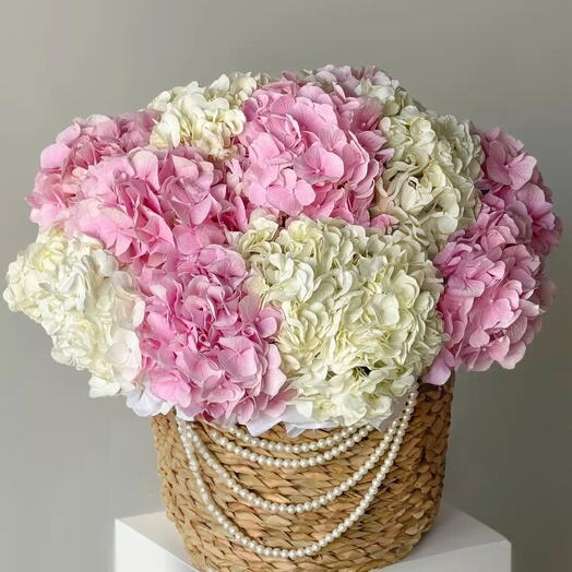 Королевская гортензия