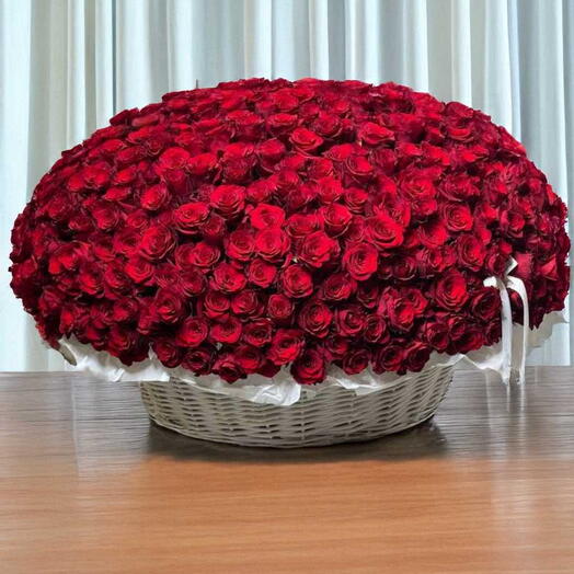 Моя настоящая мечта