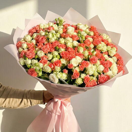 Коралловая гармония