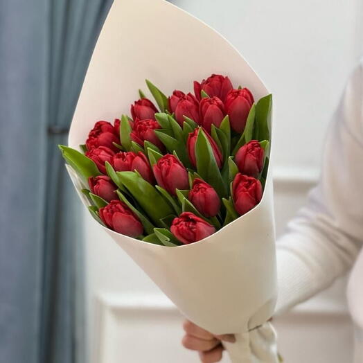 Red tulips 19 pc