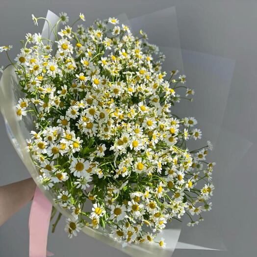 21 Daisy flower bouquet