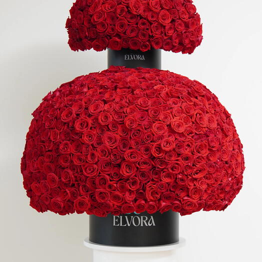 1000 КРАСНЫХ РОЗ БАГРОВЫЕ СУМЕРКИ КУПОЛ