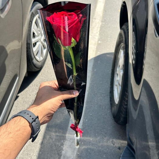Single Red Rose – Premium Wrapped Romantic Gift