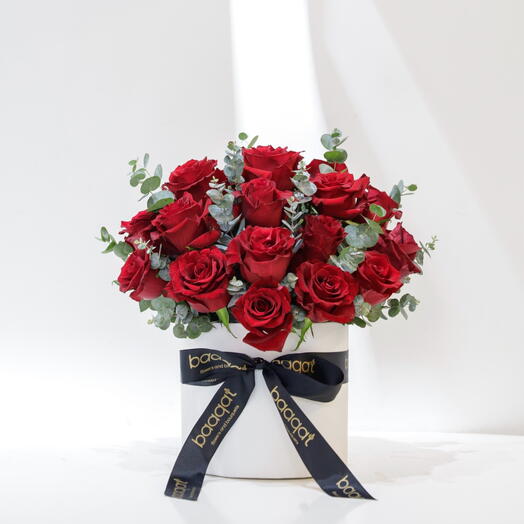 Bloom me 😻️‍🩹