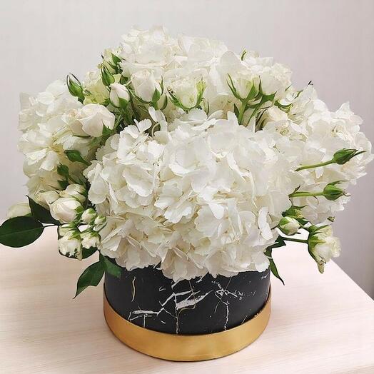 Чистая Белая Элегантность