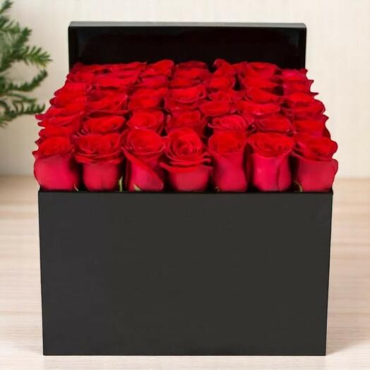 Романтические красные розы